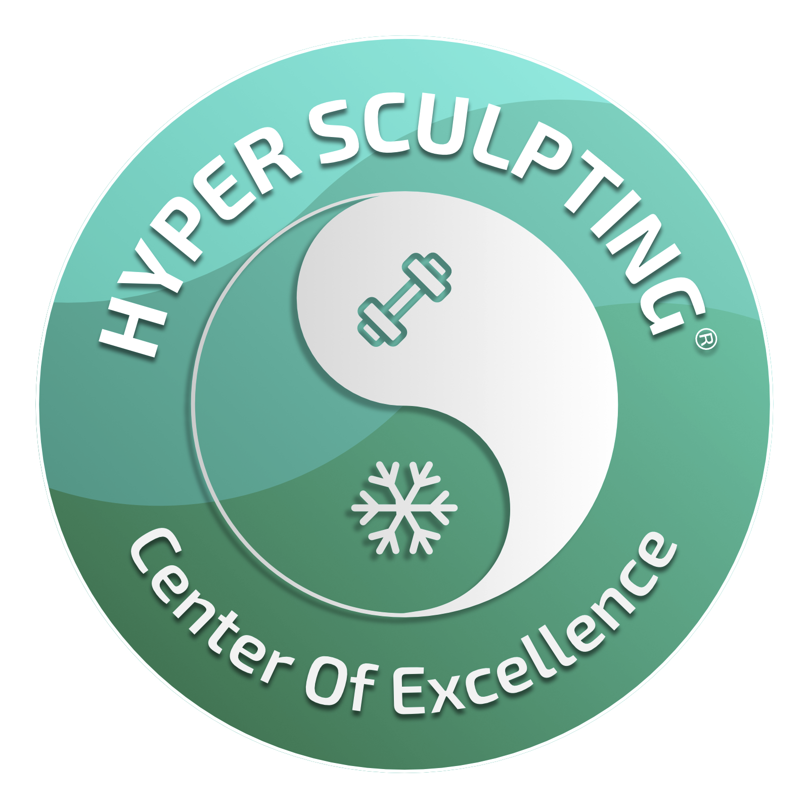 Hyper Sculpting Center of Excellence emblem